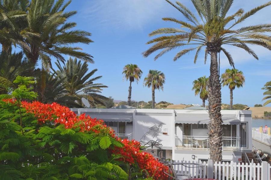 Apartamentos Dunaoasis Maspalomas 마스팔로마스 외부 사진